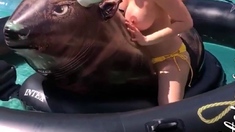 Bustys Cam Webcam Big Boobs Free Big Boobs Cam Porn Video