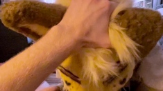 Pov amateur blowjob action