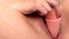 HarleySpencer Stripes LEWD