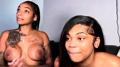 Yella & Kash Epic Live Show