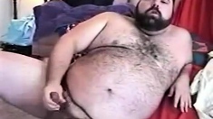 Hairy Chubby Bear Jo1